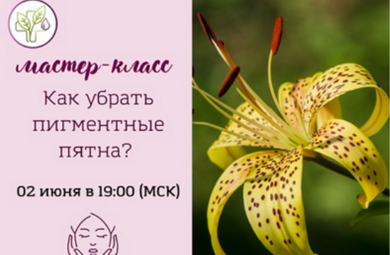 [Лилия Вирлан] [Академия AromaVita] Как убрать пиг_0.png